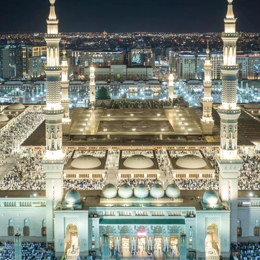 Животные никарагуа