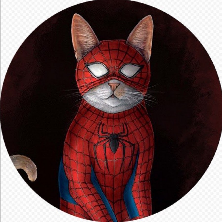 Включи кот паук. Кот Супергерой. Супергерои кошка. Супер коты. Коты Супергерои Марвел.