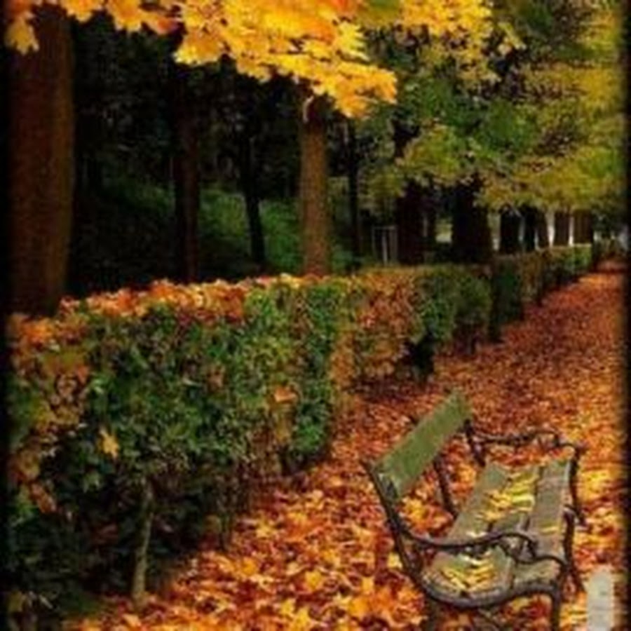 Autumn in Vienna