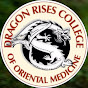 Dragon Rises College of Oriental Medicine YouTube Profile Photo