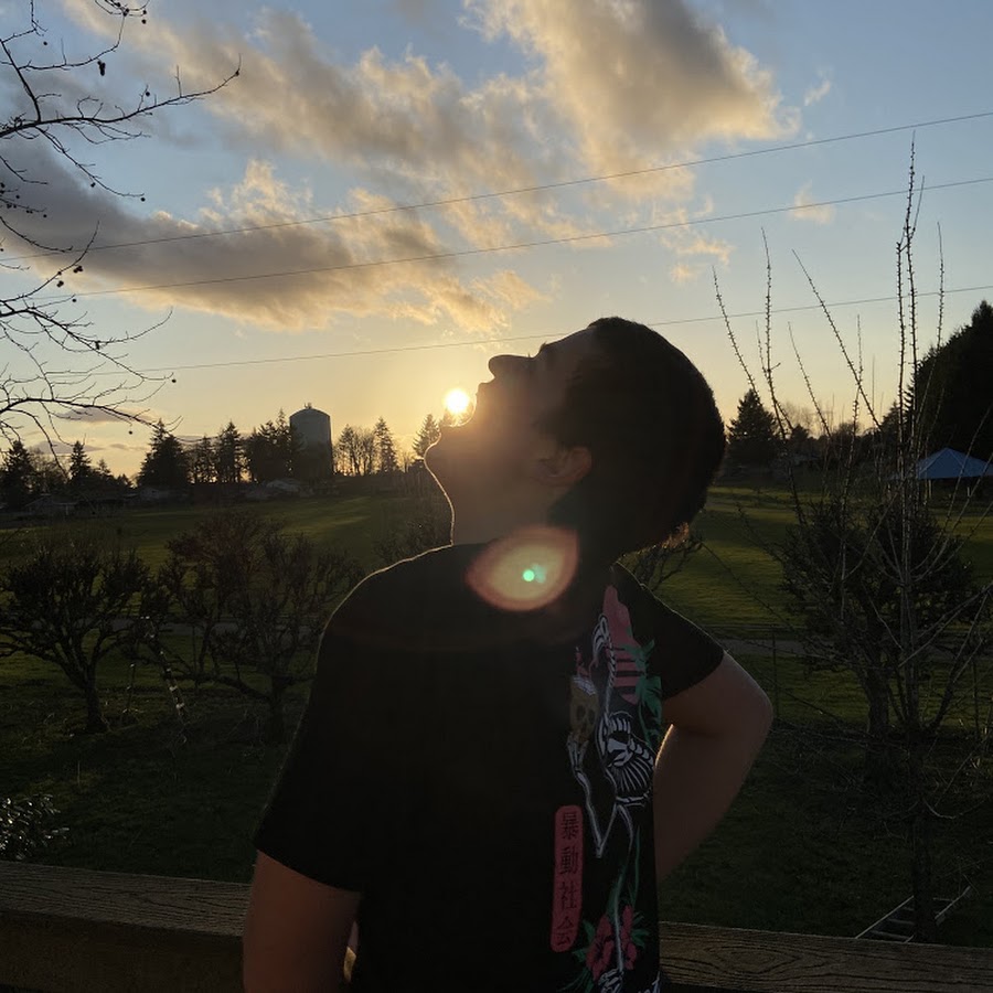 AMLnZu9hFjBeYmYnsSYd8CcJgOO2BQftVTgoyugHIl4T4w=s900-c-k-c0x00ffffff-no-rj