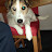 Jack Forshaw Avatar