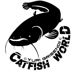 Catfish World by Yuri Grisendi