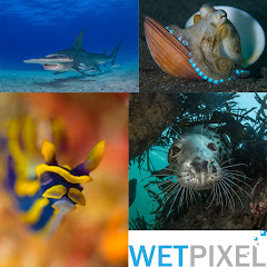 Thumbnail of related channel