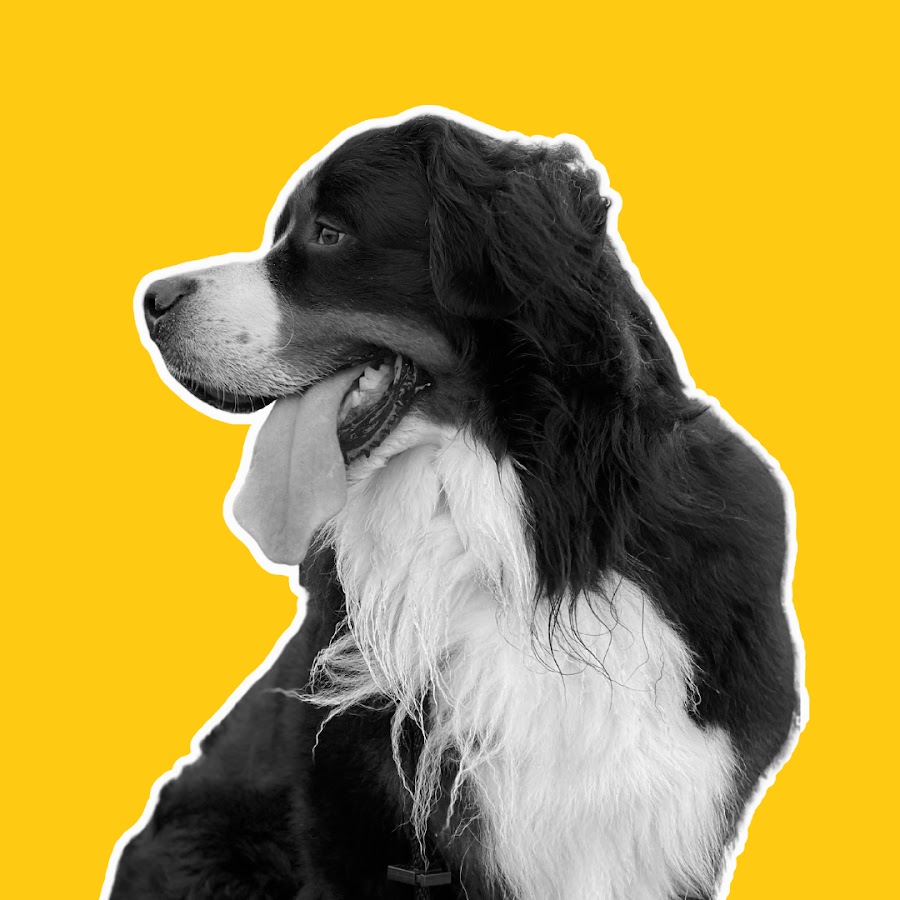 AMLnZu9iOEiZN3Me3Pa_Wj5SiAqpq3jp1pHsP46JucyB4Q=s900ckc0x00ffffffnorj