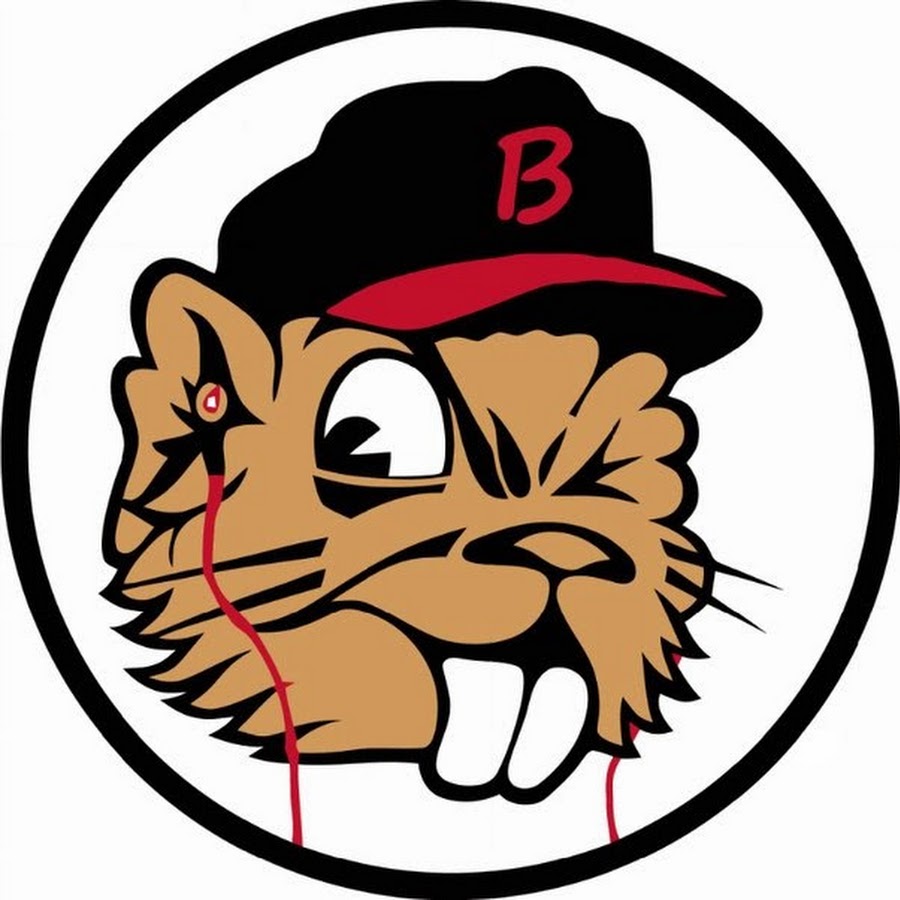 Аватарки standoff бобер. Бобер аватарка. Ава бобра. Бобер логотип. Шеврон с бобром