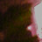Backass Words Weirdworld Avatar