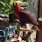KS Avatar