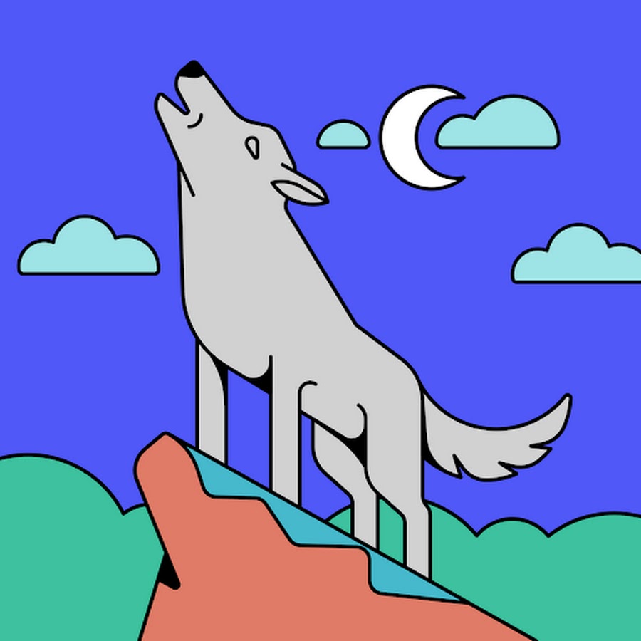 wisely card cash advance