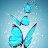 Allison Han Avatar