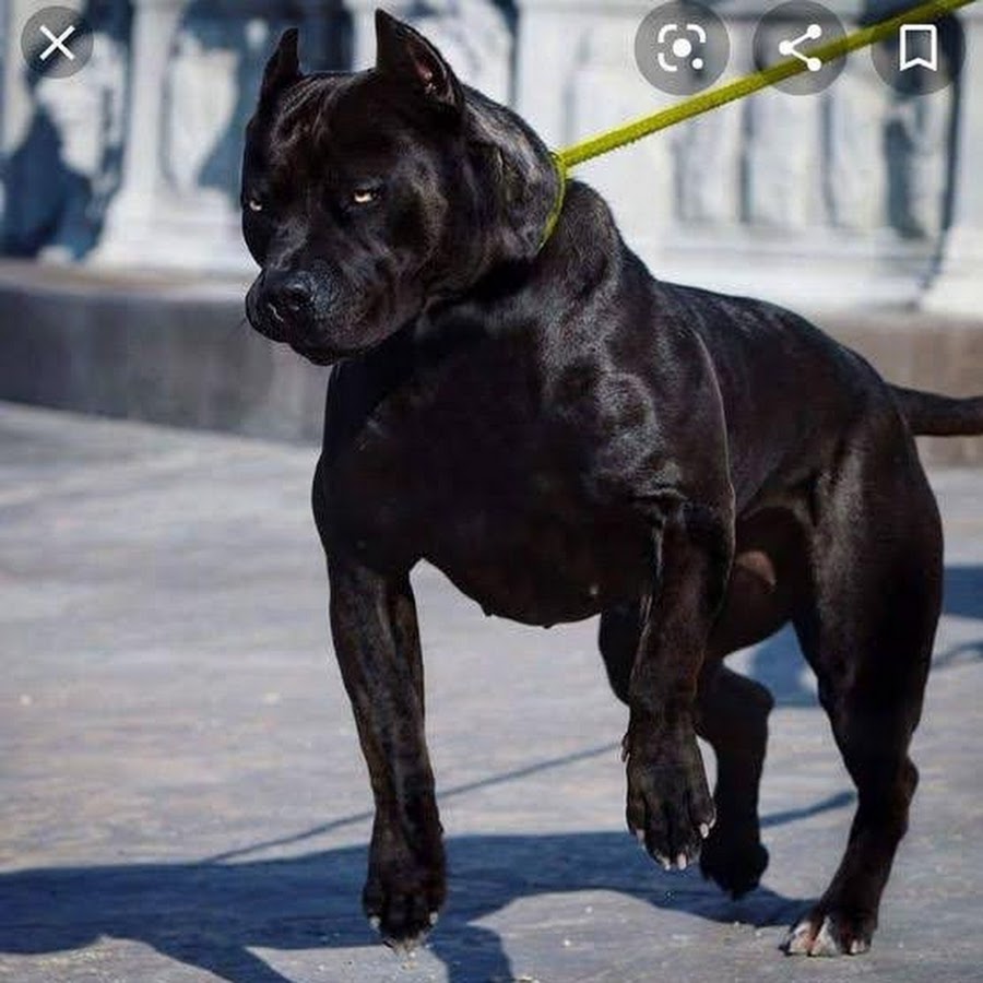 AMLnZu9lRj4H-92K7CI3Pvn5mE7M20fh_Kj3lZ9049JL=s900-c-k-c0x00ffffff-no-rj