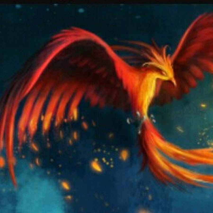 The gems phoenix 2024. The gems phoenix 2024. Феникс картина. Обложка для вк феникс. Феникс надпись.