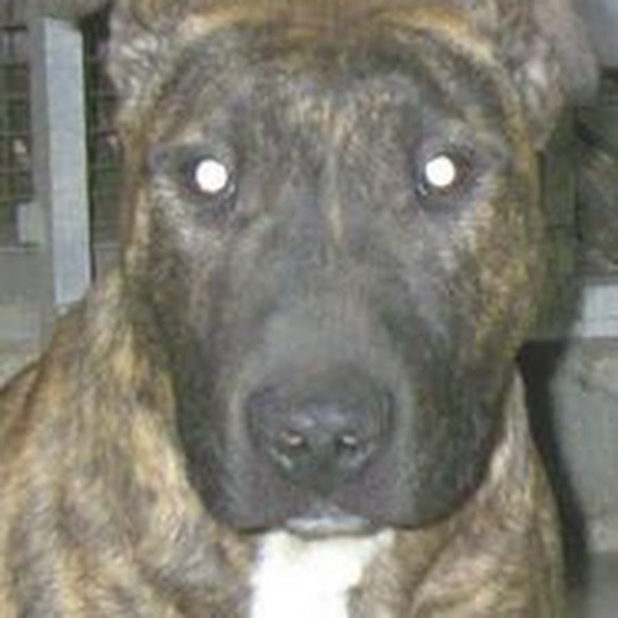 遠藤貴壽 Youtube