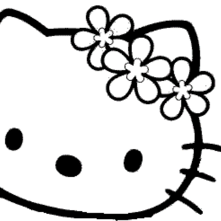 Chat Qui Parle Youtube