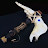 JawofaJackass Avatar