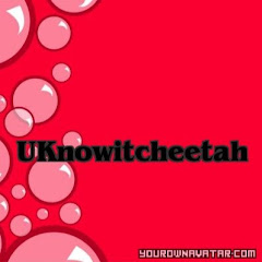 Uknowitcheetah net worth