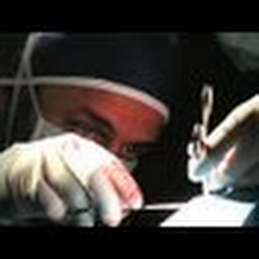 Clinica Veterinaria Dannunziana -Pescara Centro Medico-Chirurgico d'Abruzzo  - YouTube