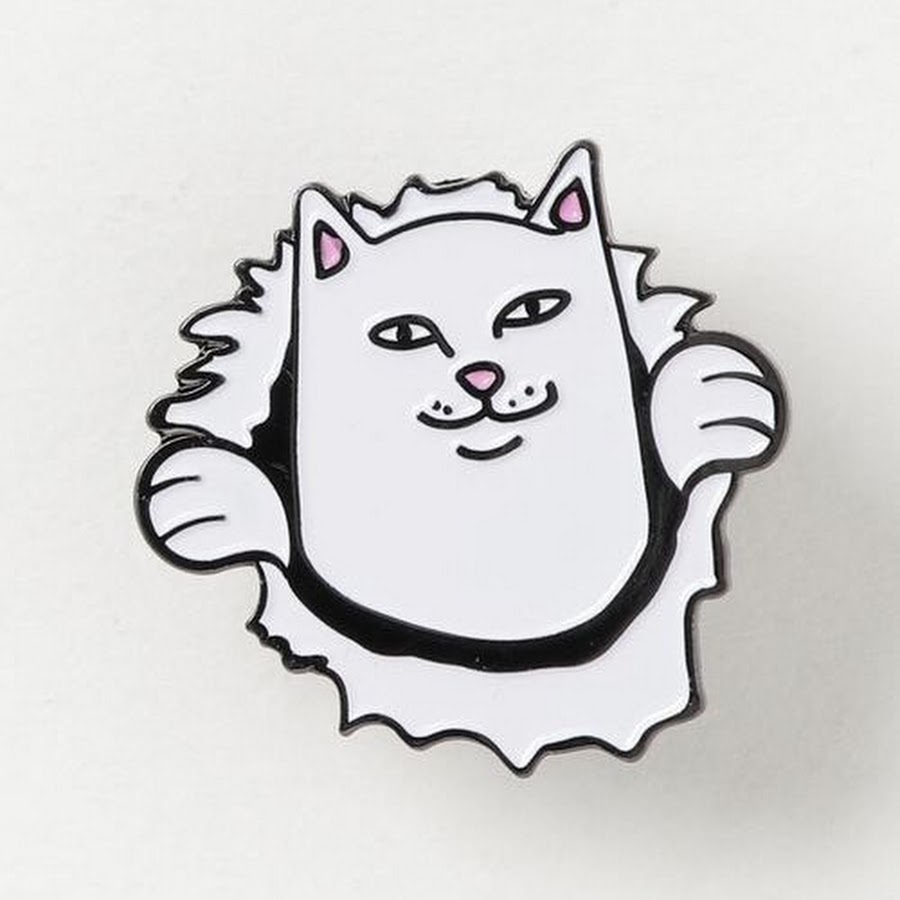 Кот с факом рисунок