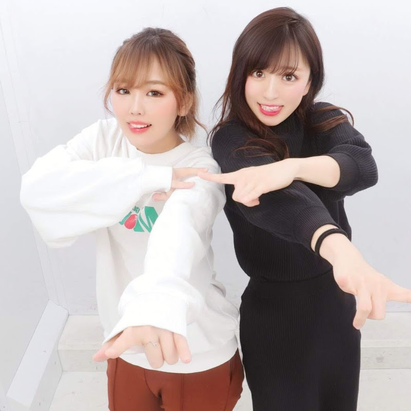 平成フラミンゴ Youtubeランキング