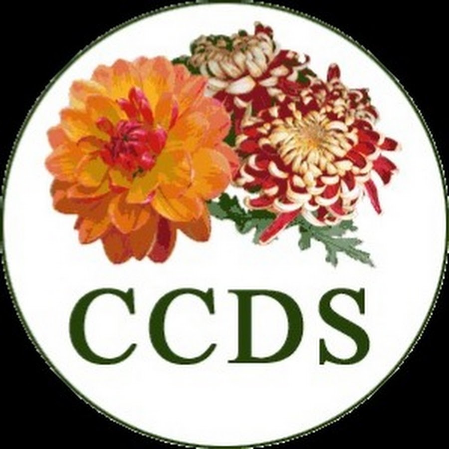 AMLnZu9odUpvxGtr9bBqmvz45gsKqqun6Nm1dYFdwvM=s900ckc0x00ffffffnorj