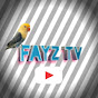 FAYZ TV