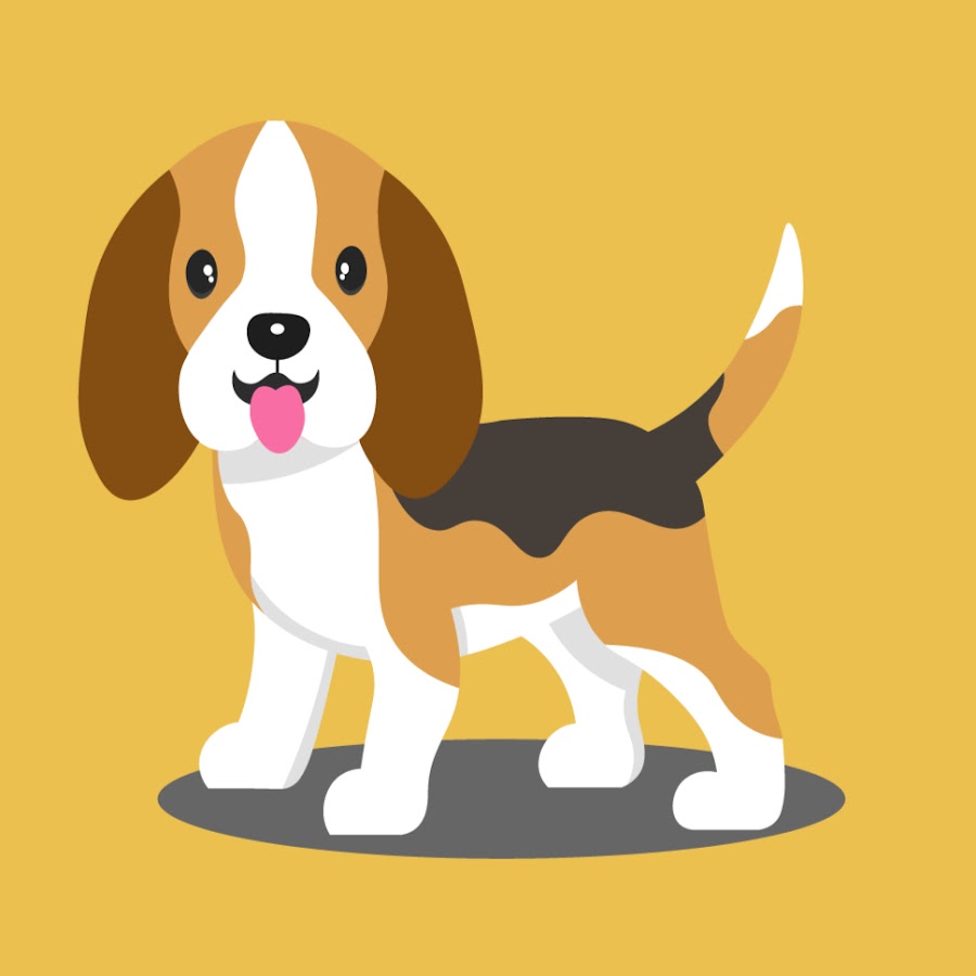 Beagle Care - YouTube