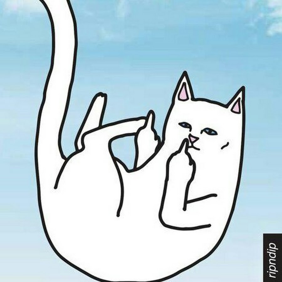 Кот с факом рисунок