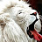 Arctic Lion