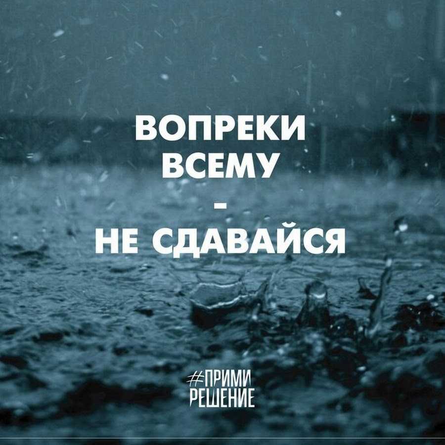 Сдался мотивация. Я не знаю что такое сдаваться. Мотивирующие фразы на черном фоне. Никогда нельзя сдаваться. Лягушка душит цаплю никогда не сдавайся.