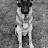 Niko Kane Avatar