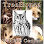 TreeHouse Wildlife Center YouTube Profile Photo