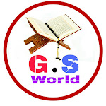 G.S World Net Worth