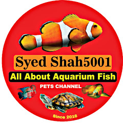 Syed Shah5001 net worth