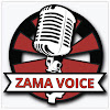What could Zama Voice buy with $1.19 million?