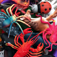 Thumbnail of related channel