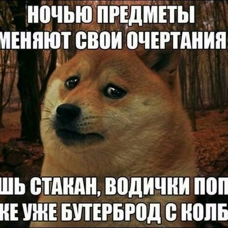 Смешные шутки на ночь