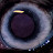 Paul Barrett Avatar