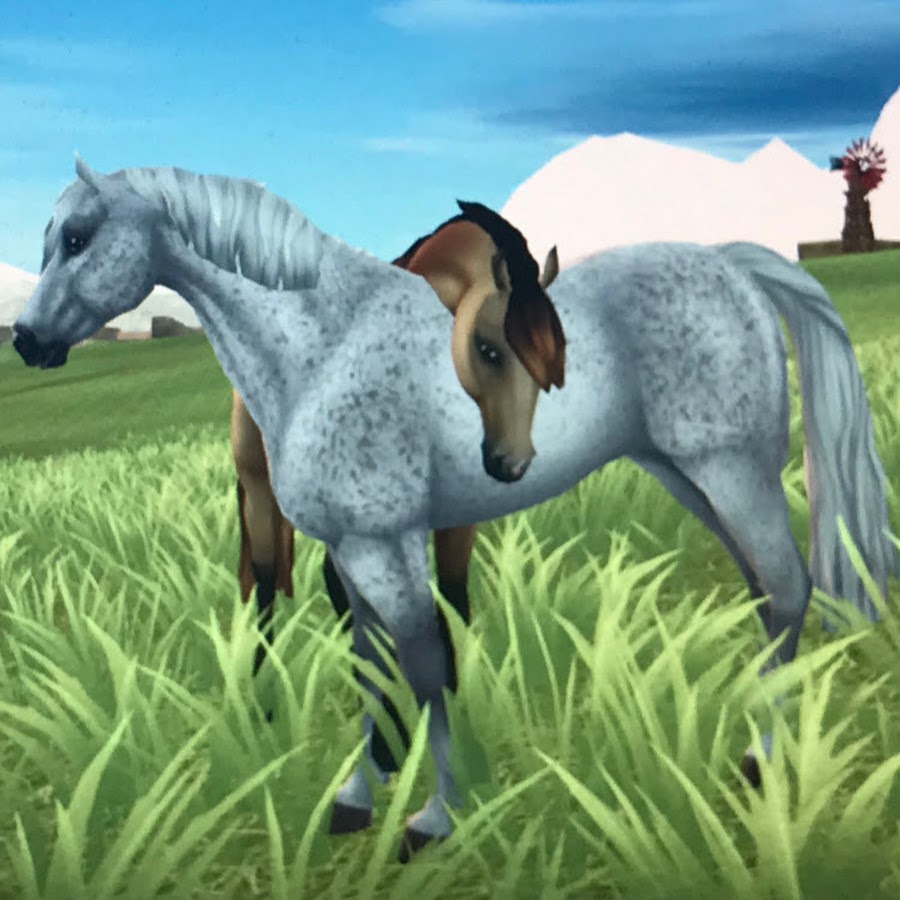 Целая карта стар стейбл