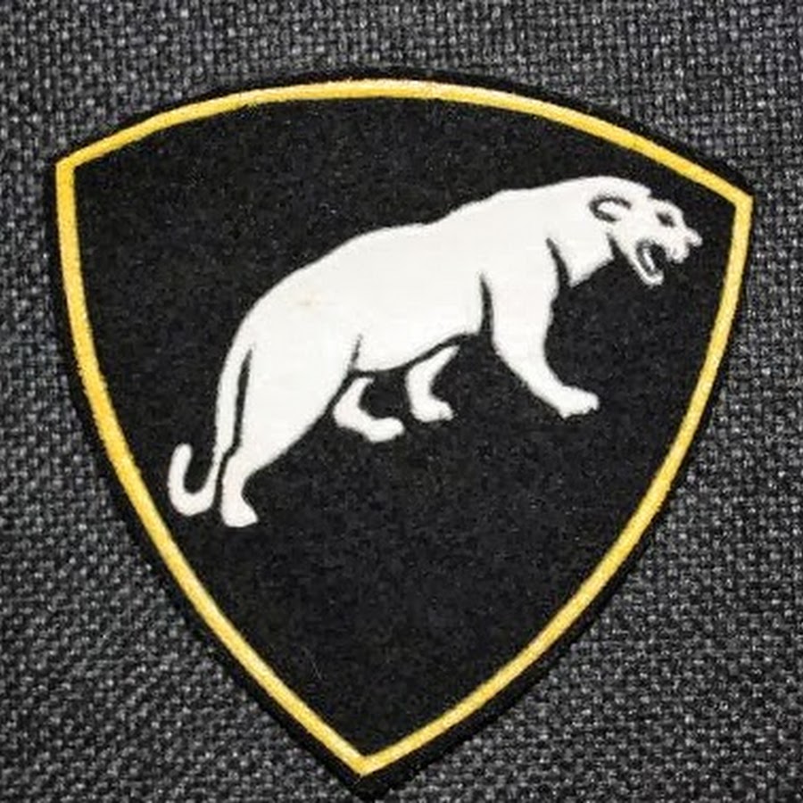 Шеврон геншин. Шеврон шаблон. Парадный шеврон вкс. Шеврон фсин уис. Шеврон круглый.