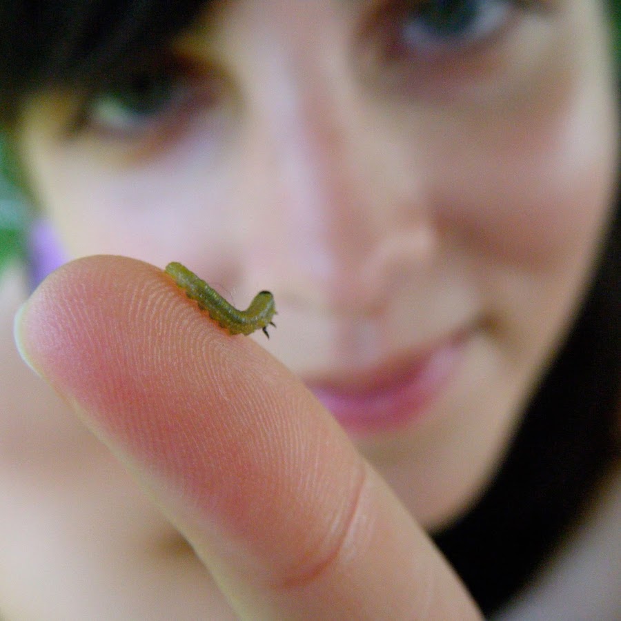 AMLnZu9vbkjsCBBDDk247DODy9fVnch992spdUBthVXS7g=s900ckc0x00ffffffnorj