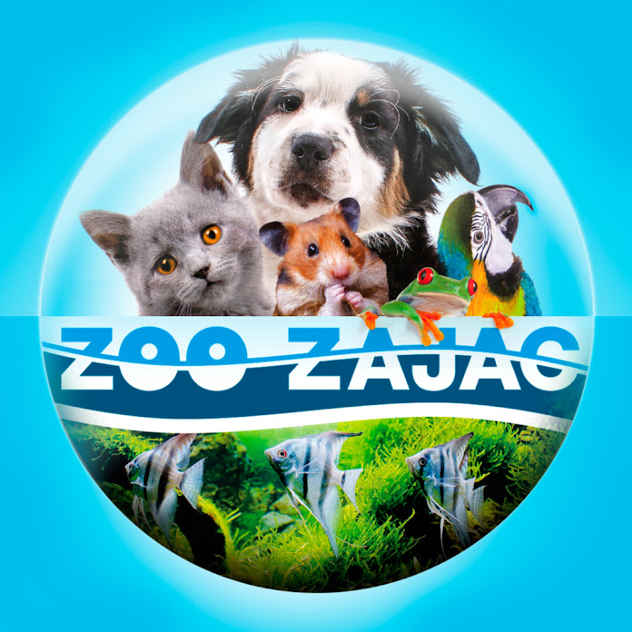 Zoo Zajac Net Worth & Earnings (2026)