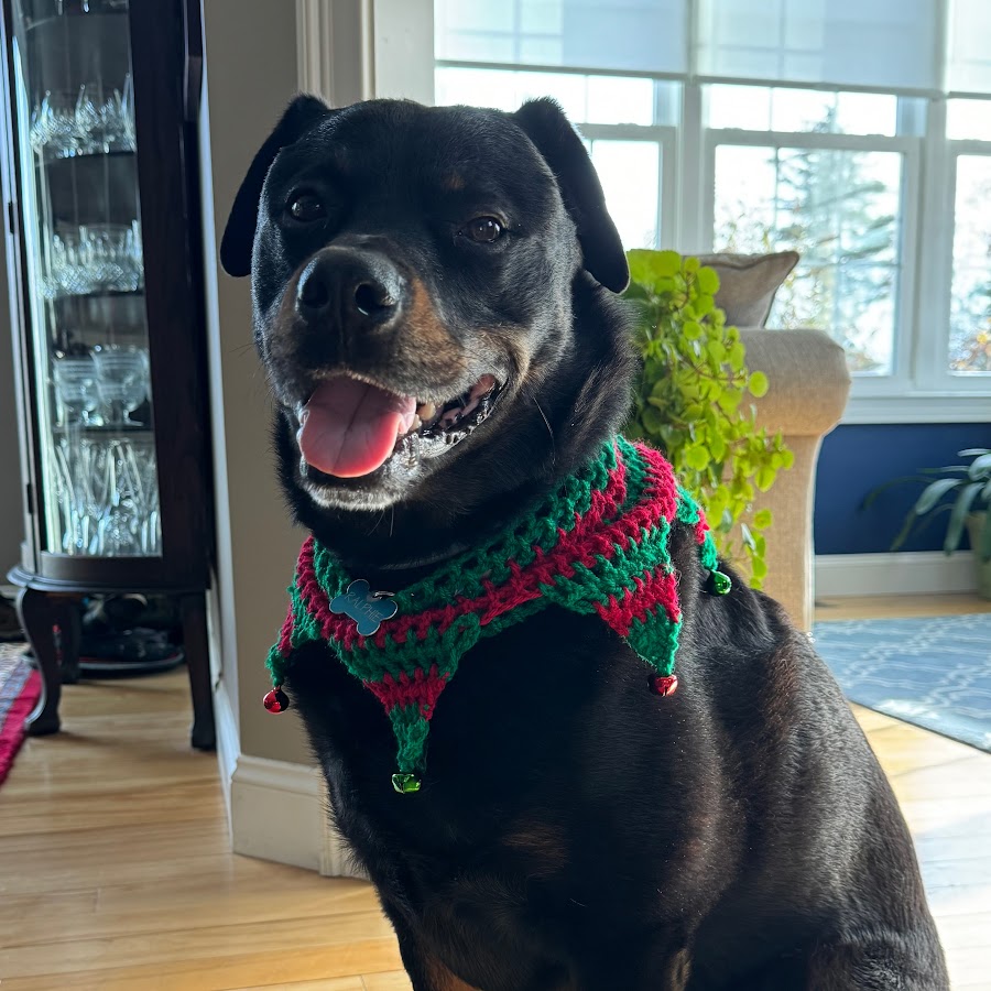 AMLnZu9vqUpAyiPAKe5FALyjSzTpKtLR4JAkP5WcdPGCpg=s900ckc0x00ffffffnorj