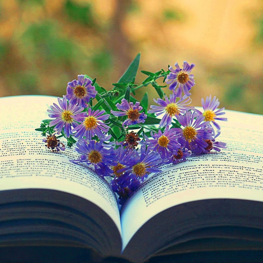 Library with Flowers