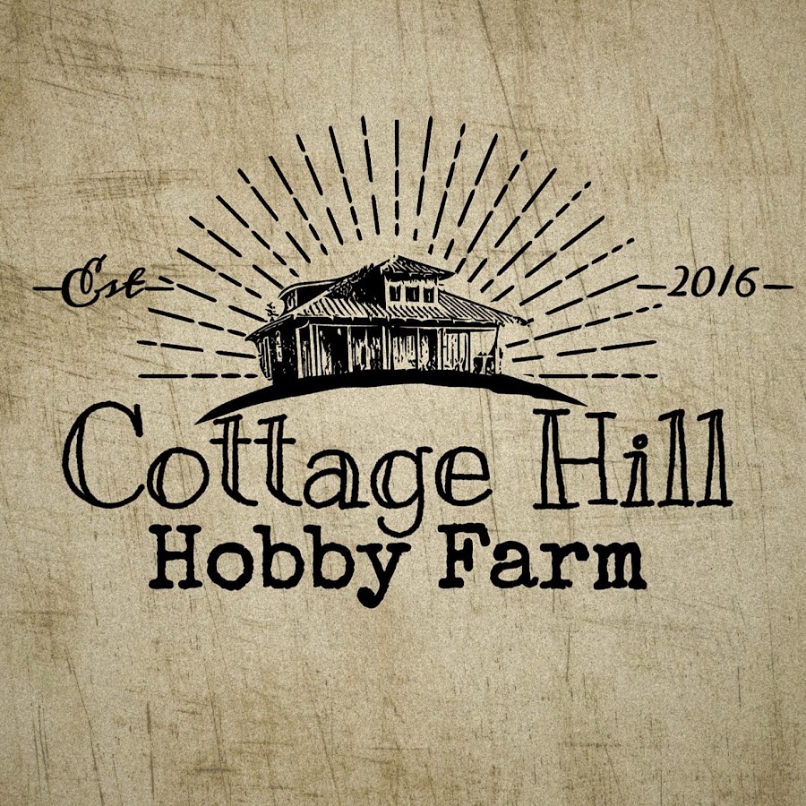 AMLnZu9yTaWNTx9SQ6vBEUTteiDY7DUHn4Hrd5EEBLQ=s900ckc0x00ffffffnorj