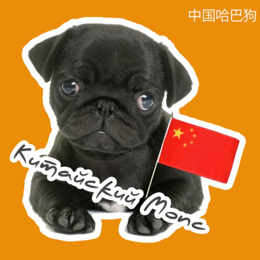 Мопсы в китае