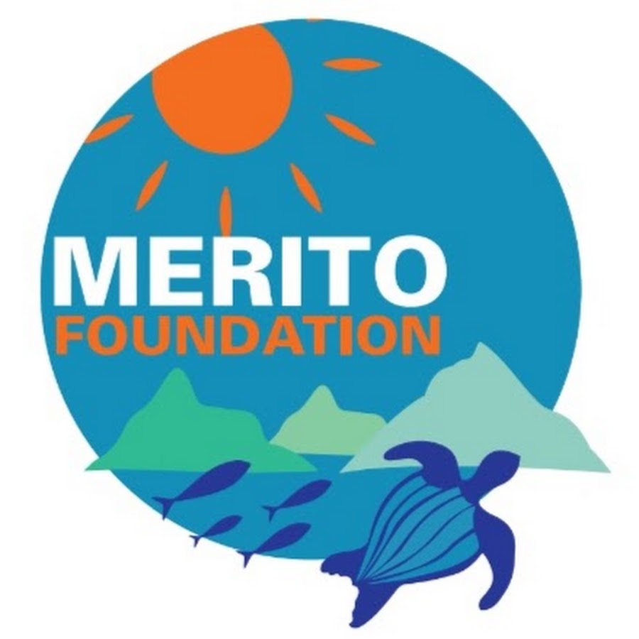 MERITO Foundation - YouTube