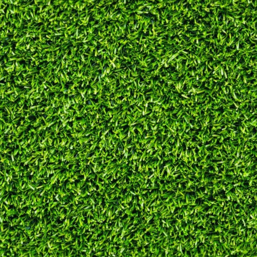 Трава сверху рисунок