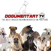 Dogumentary TV