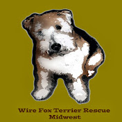 WireFoxRescueMidwest