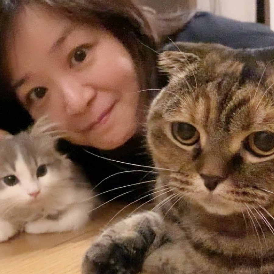 猫と声優の暮らし るーたん あいたん ろい坊 Youtube